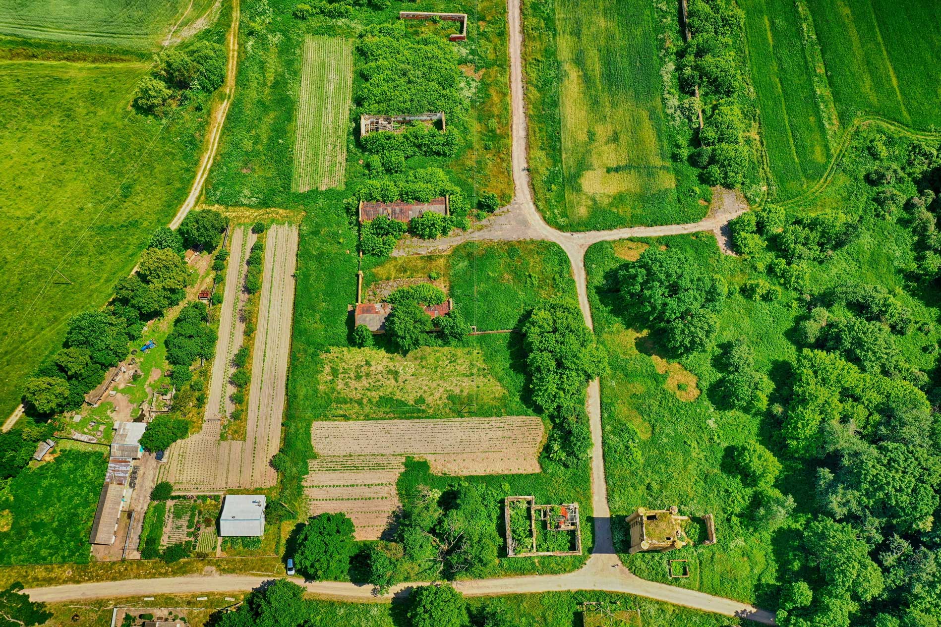 Modern agricultural landscape showing crop cultivation and farmland